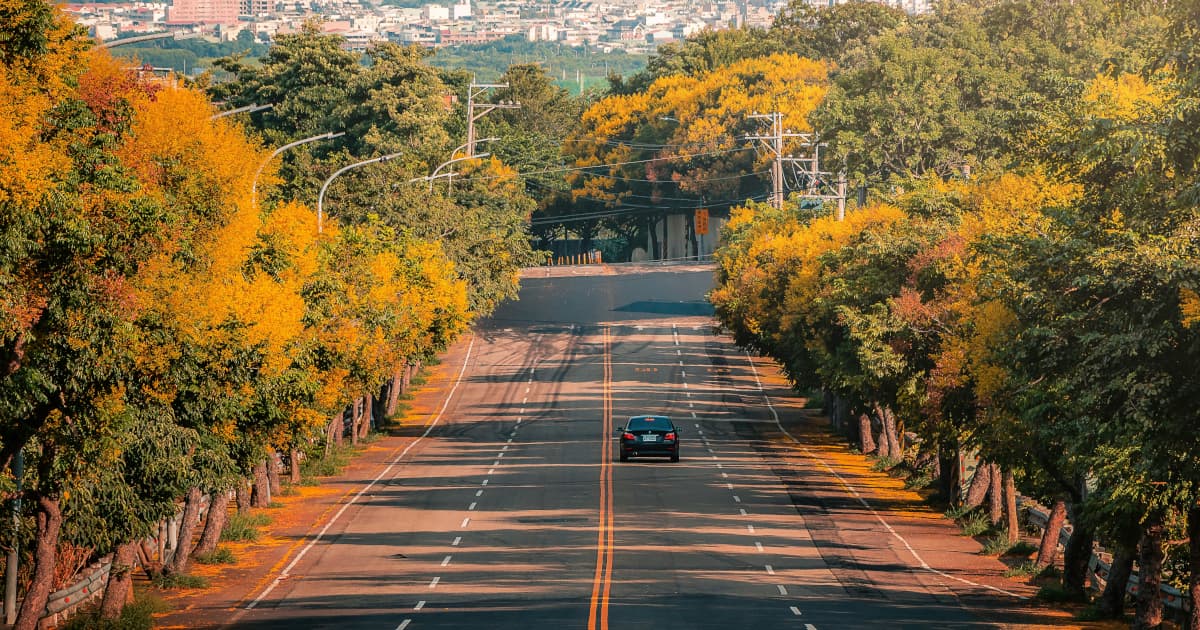 SierrAfrica Diaspora Connect Announces 10-Day Heritage Tour to Sierra Leone for 2026